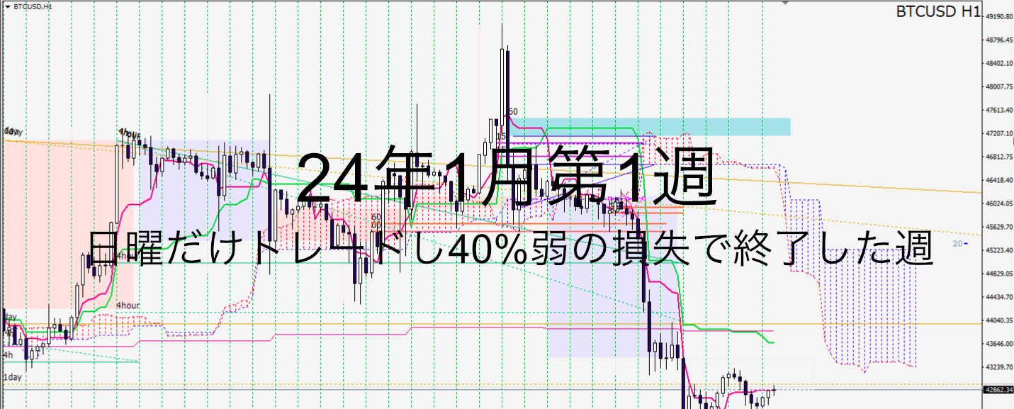 24年1月1週_1万倍チャレンジ第9週_日曜だけトレードし40%弱の損失で終了