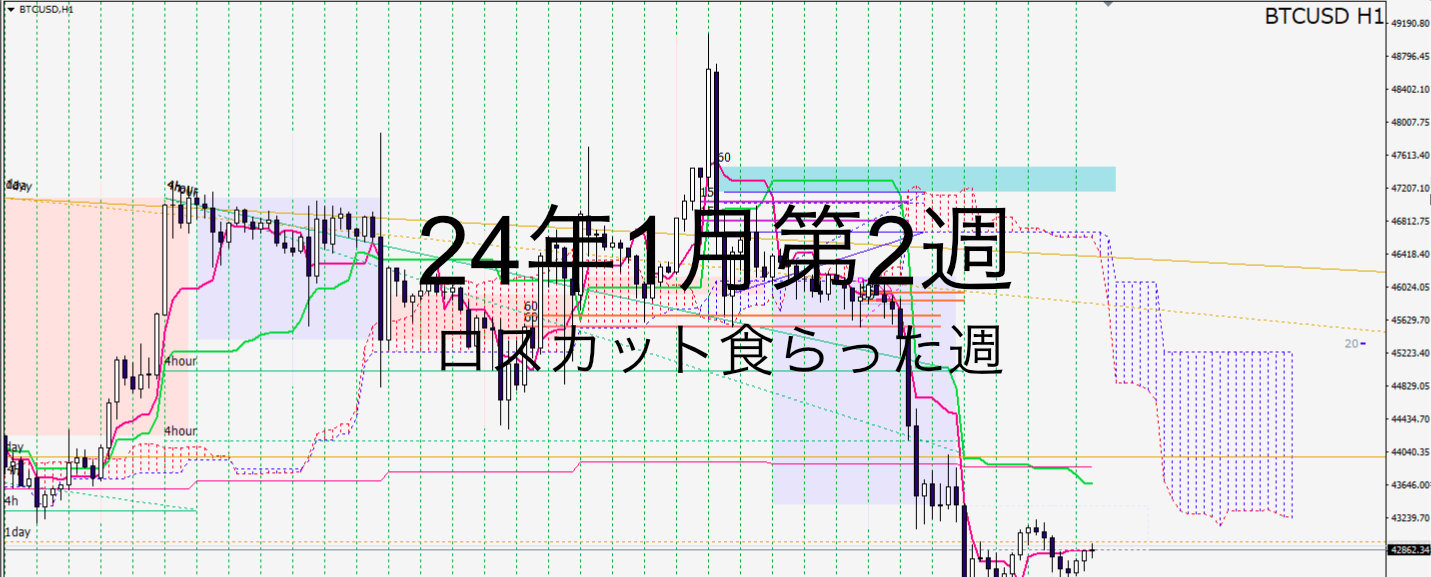 24年1月2週_1万倍チャレンジ第10週_ロスカット食らう