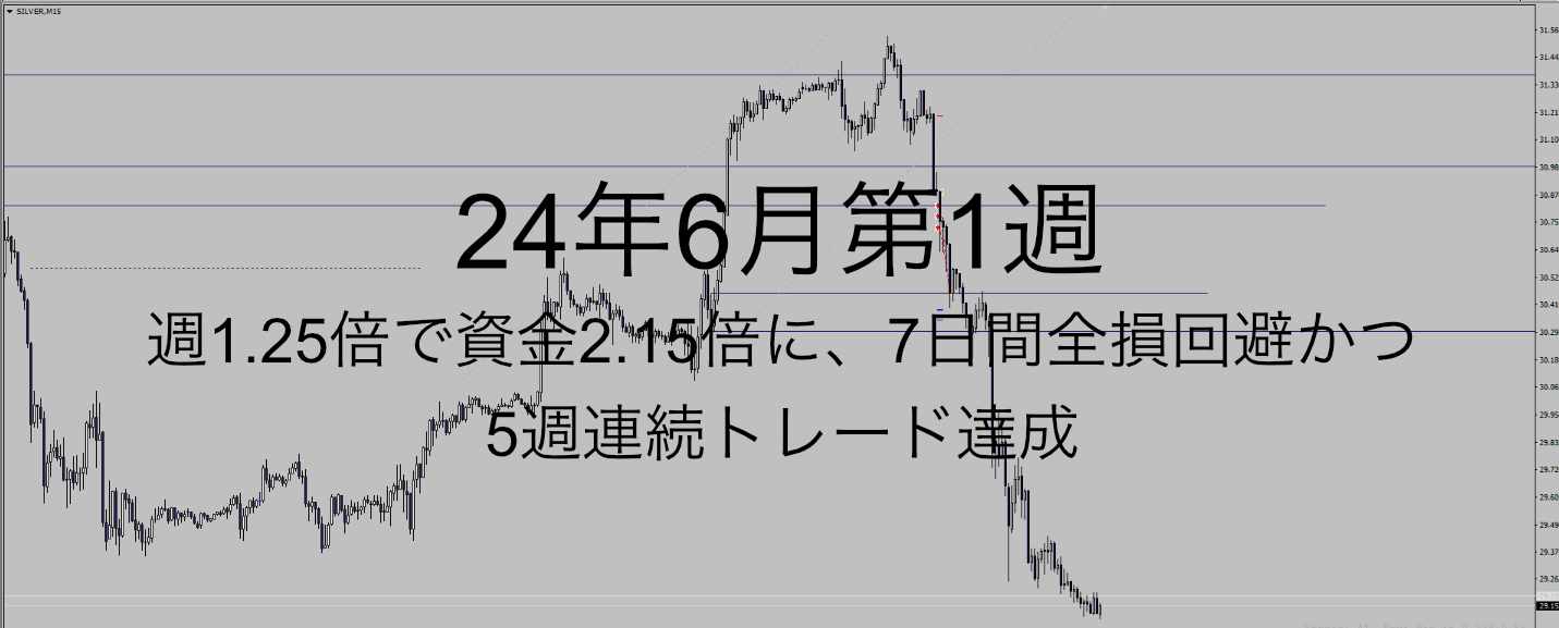 24年6月1週_水準5週_シルバー飛び乗り売りで20k達成